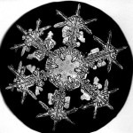Bentley_Snowflake8